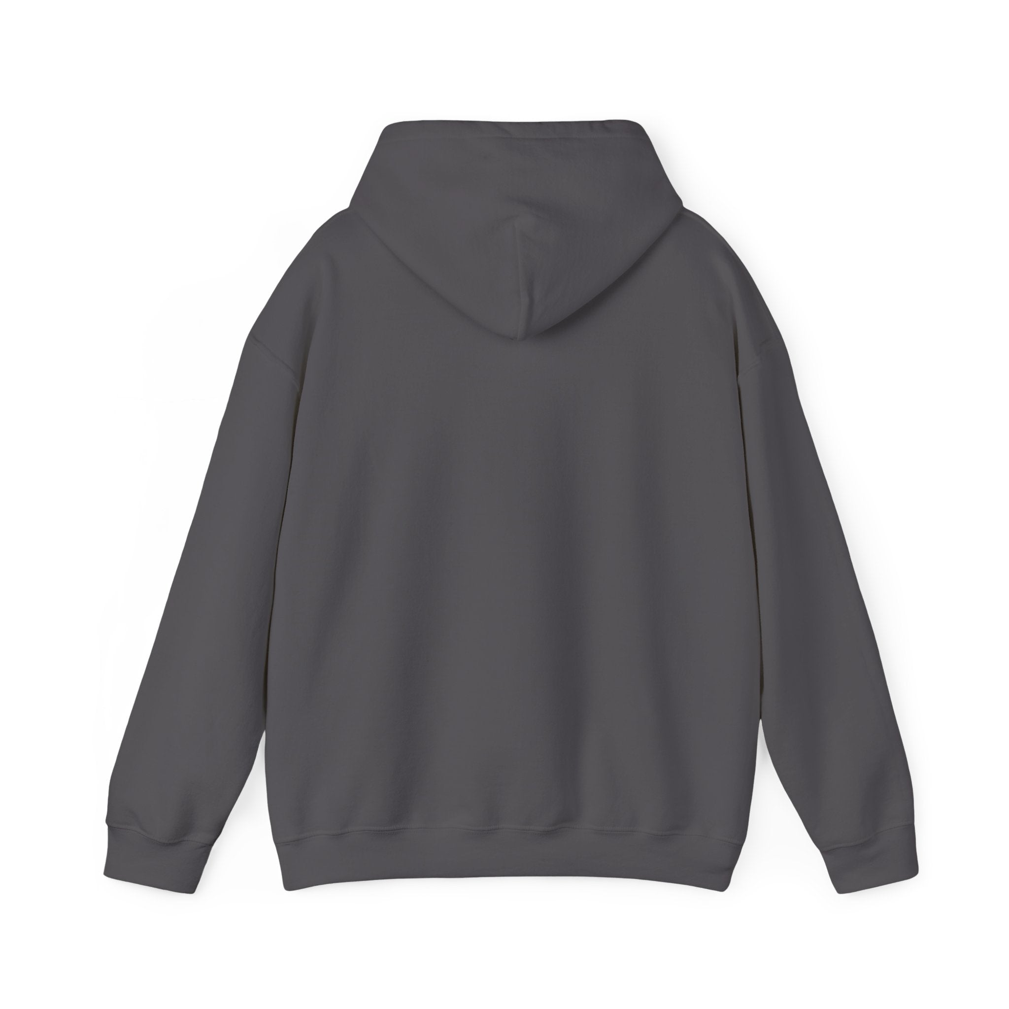 Bésame™ Olympic Hooded Sweatshirt